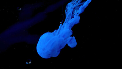 Beautiful ink underwater on black background. Stock footage. Bright cloud of ink moves in water....