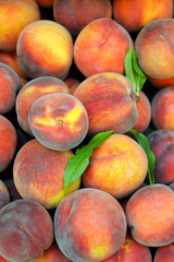 Peaches peach prunus persica fresh ripe harvested for sale in fruit market shop stall display