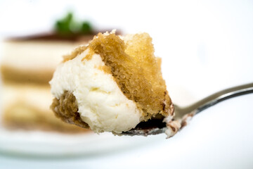 spoon with fresh tiramisu cake,  white background