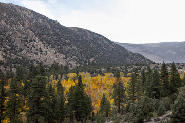 Fall in the Eastern Sierra