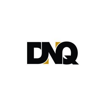 DNQ letter monogram logo design vector