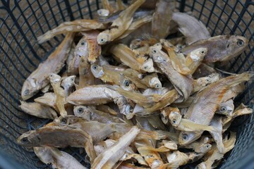 dried fish in the market