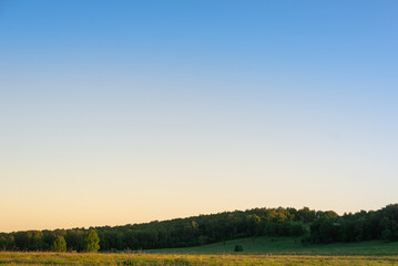 Obraz premium Autumn hill with green trees.