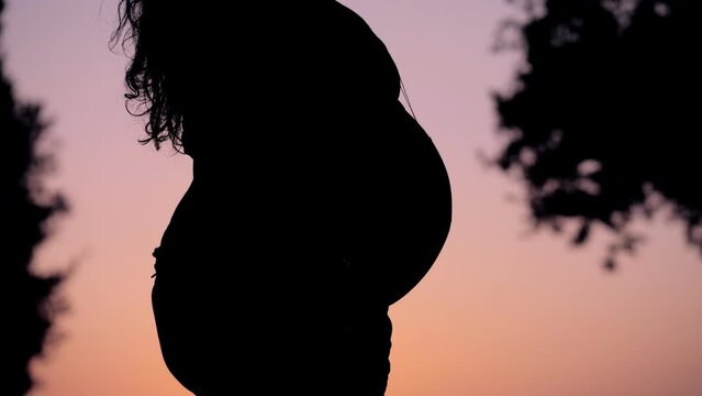 uncovered belly of a pregnant woman in the pink light of the sunset