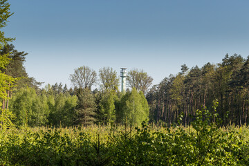 Wieża przeciwpożarowa w lesie