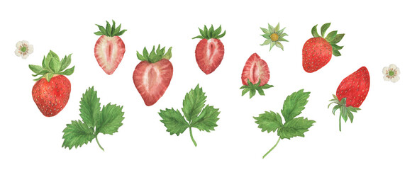 Watercolor painting set of strawberries, leaves, flowers. Design elements for meny, invitation, poster