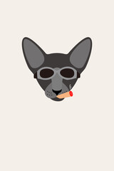 Gentlemen cat wear glasses and smoking cigar, Fashion portrait of cat