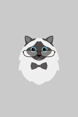 Birman cat gentlemen wear glasses, Fashion portrait of cat