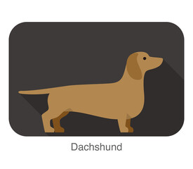 Dachshund Breed dog standing on the ground, side, dog cartoon image series