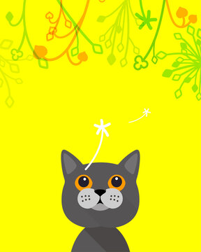 Cat looking up the flower and dandelion, cartoon vector