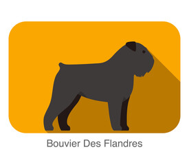 Bouvier Des Flandres dog breed flat icon design