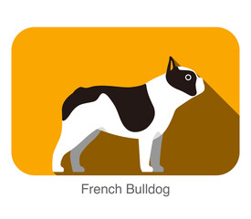 French Bulldog breed flat icon design, vector illustration
