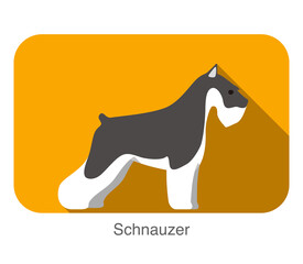 Schnauzer dog breed flat icon design, vector illustration