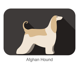 Afghan Hound dog breed flat icon design, vector illustration