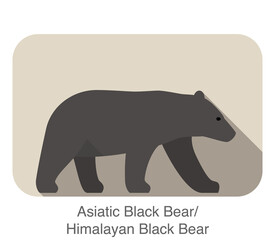 Obraz premium Asiatic black bear walking side flat 3D icon design, vector illustration