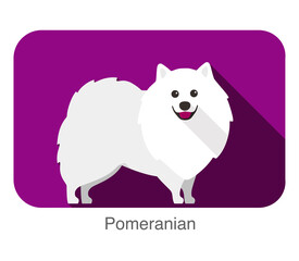 Breed pomeranian dog standing on the ground, side, face forward, dog cartoon image