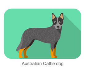 Breed Australian cattle dog standing on the ground, side, face forward, dog cartoon image