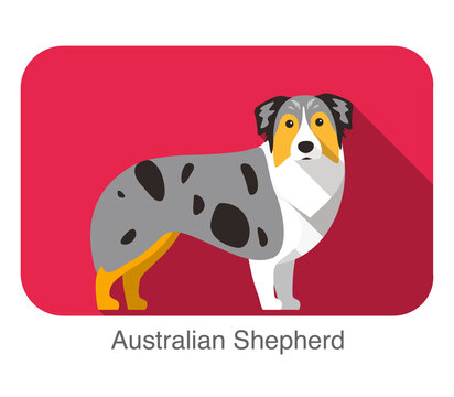 Breed Australian shepherd dog standing on the ground, side, face forward, dog cartoon image