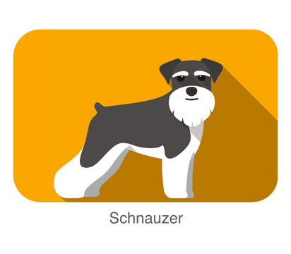Breed schnauzer dog standing on the ground, side, face forward, dog cartoon image