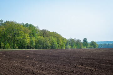 Spring field before planting corn.