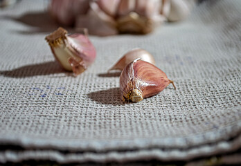 Fresh garlic bulbs and a garlic press on an old wooden board and a burlap backing.