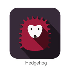 Hedgehog face flat icon design. Animal icons series.