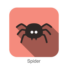 Spider animal face icon