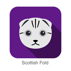 Scottish Fold, Cat breed face cartoon flat icon design