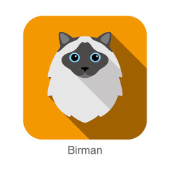 Birman, Cat breed face cartoon flat icon design
