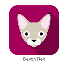 Devon Rex, Cat breed face cartoon flat icon design