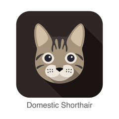 Domestic Shorthair, Cat breed face cartoon flat icon design