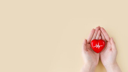 World Hypertension Day. Adult holds a red heart with a heartbeat chart with his hands - a symbol of high blood pressure. Hypertension Day in May 17th. World heart day, world health day.