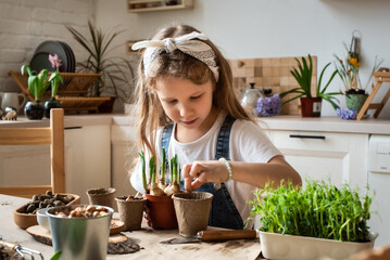 little girl transplants flowers and houseplants. a child in a bandana plants bulbs and microgreens.