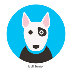 Bull terrier dog face flat icon, dog series