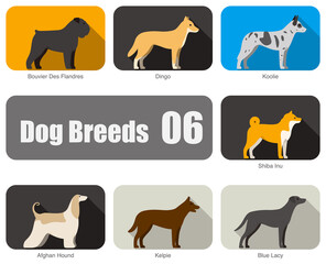 Dog breeds, standing on the ground, side view, vector illustration, dog cartoon image series