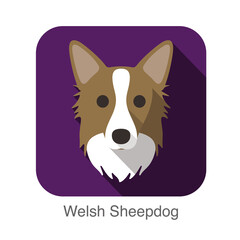 Welsh sheepdog dog face flat icon, dog series