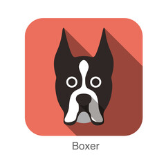 Boxer dog face flat icon