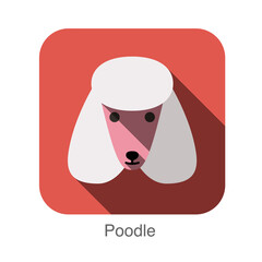 Poodle animal face ui flat design