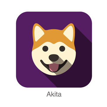 Akita animal face icon