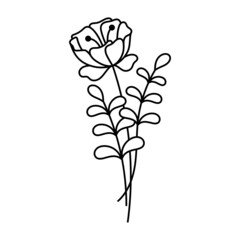 Floral line art illustration design vector isolated