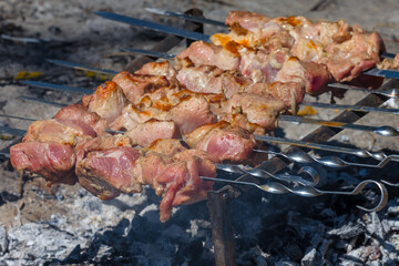closeup meat frying on fire grill, outdoor camping cooking scene
