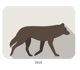 Wolf walking or running on the ground, vector illustration