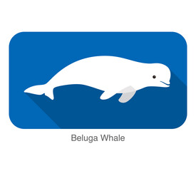Beluga whale swimming in the water, flat icon, vector illustration
