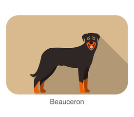 Beauceron terrier standing and watching, vector