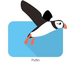 Iceland bird, flat cute puffin flying vector illustration
