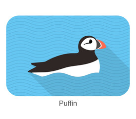 Iceland bird, flat cute puffin baby vector illustration