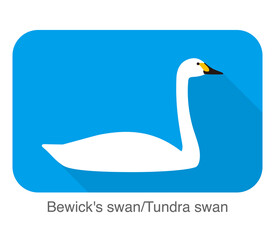 Bewick's swan cartoon flat icon vector illustration