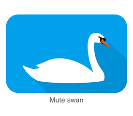 mute swan, cartoon flat icon vector illustration