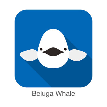 Beluga whale face flat icon vector illustration