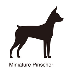 Miniature Pinscher dog silhouette, side view, vector illustration